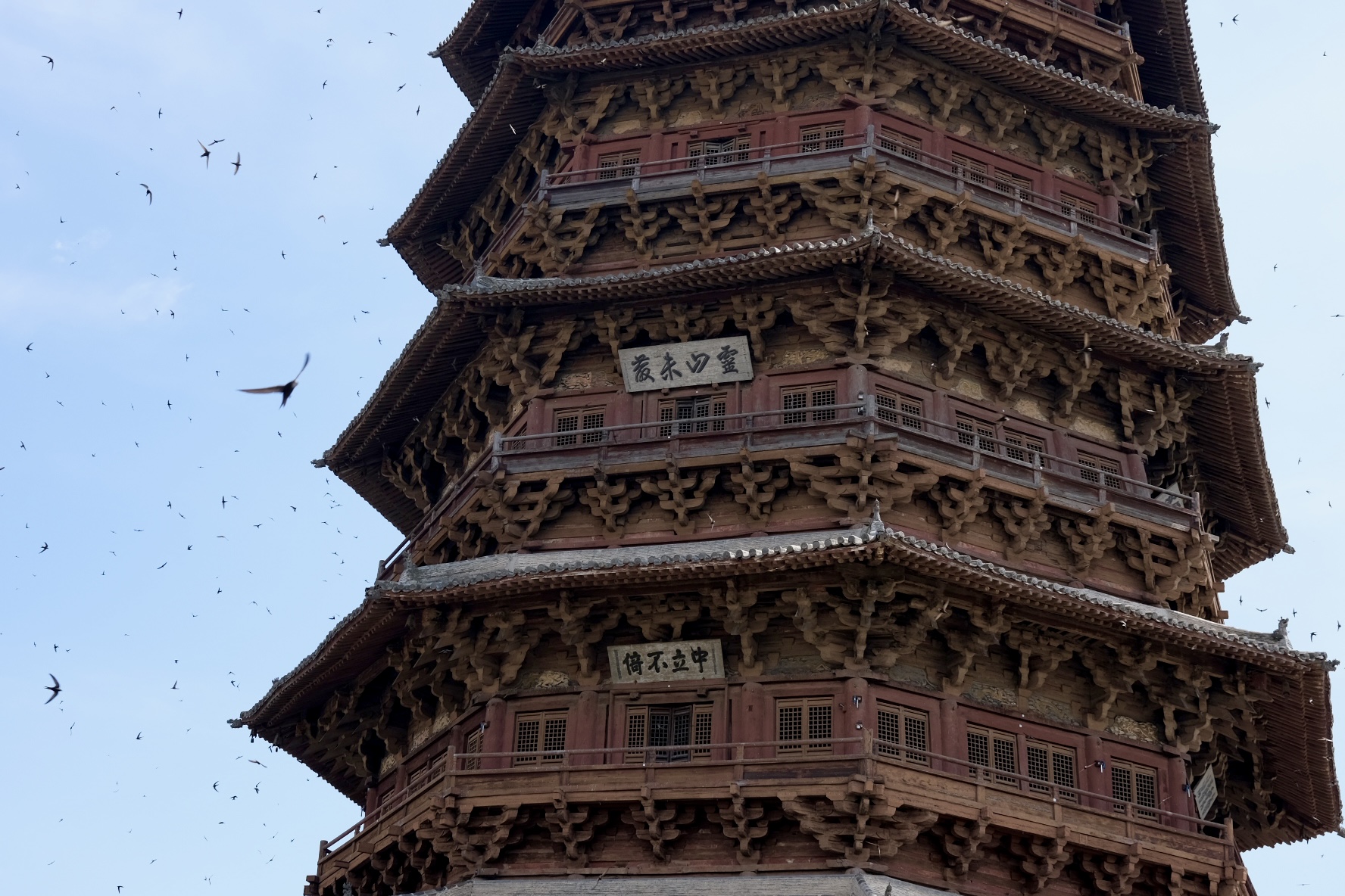 Architecture photograph 22 by Genevra Guo
