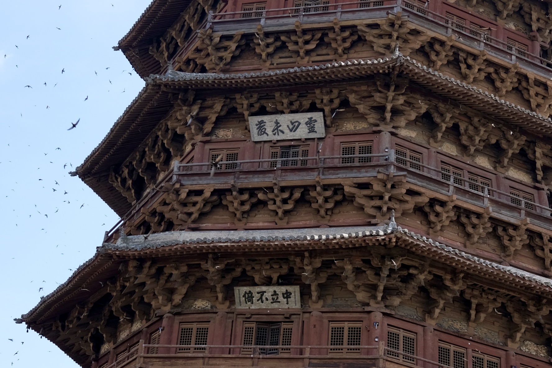 Architecture photograph 23 by Genevra Guo