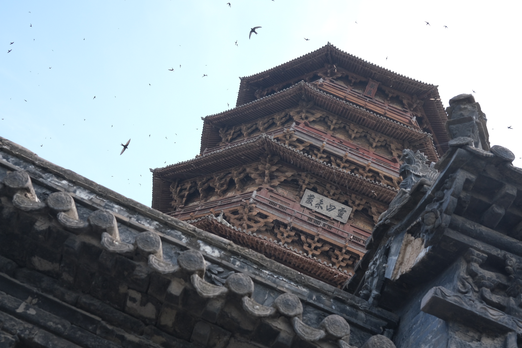 Architecture photograph 24 by Genevra Guo