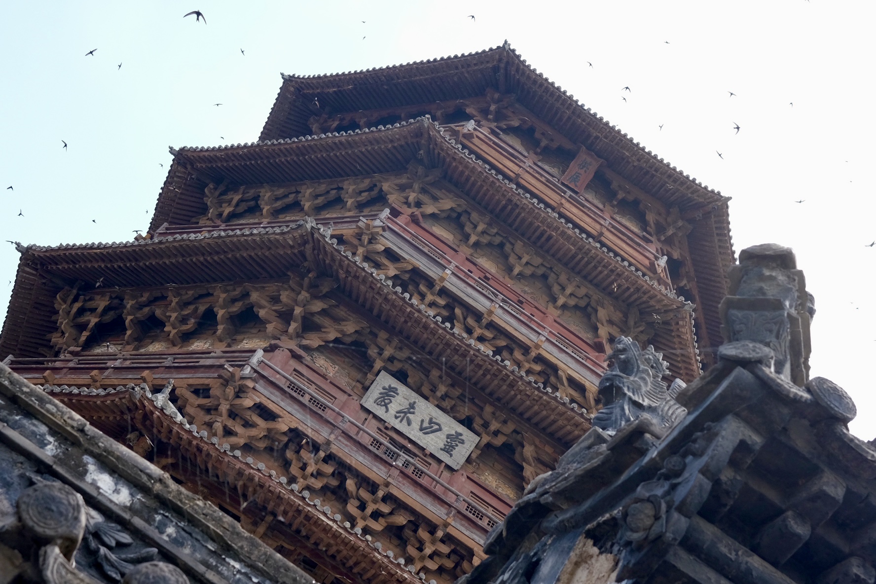 Architecture photograph 25 by Genevra Guo