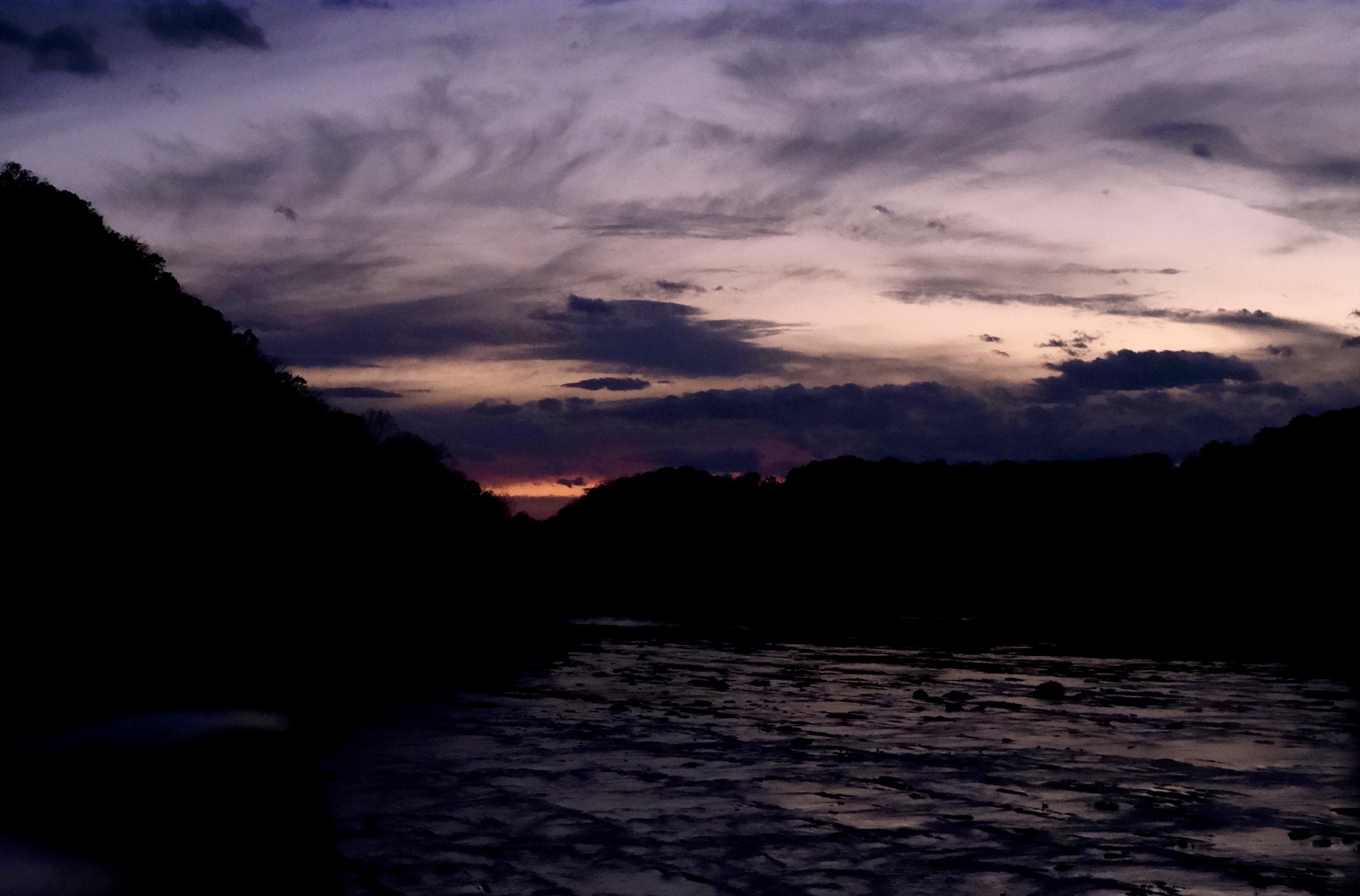 Nature photograph 27 by Genevra Guo